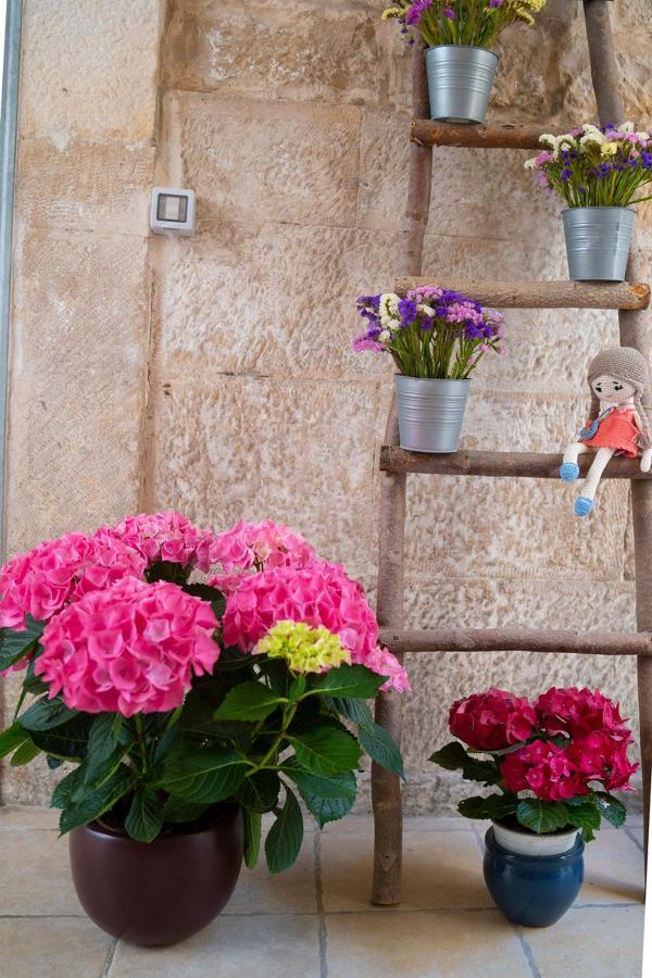Il Saraceno Apartment Giovinazzo Exterior foto