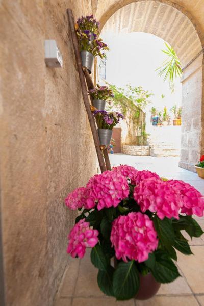 Il Saraceno Apartment Giovinazzo Exterior foto
